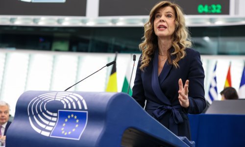 Biljana Borzan u Europskom parlamentu
