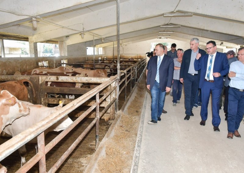 PPK u uređenje farme junadi Šumbar uložio 18 milijuna kuna