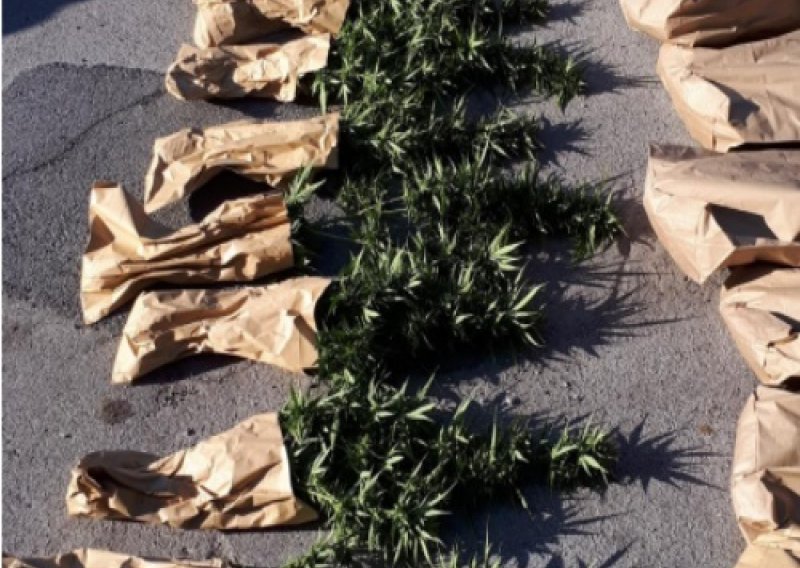 Na graničnom prijelazu Klek pronađeno gotovo 14 kilograma marihuane