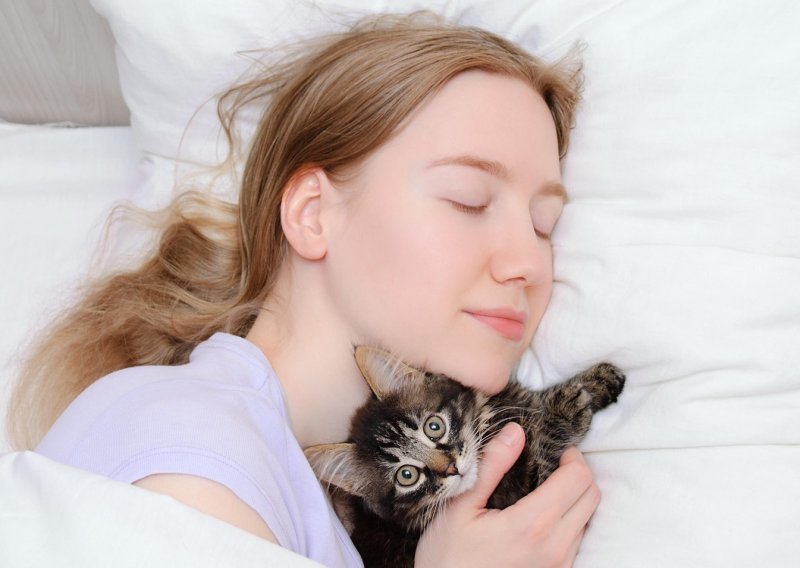 [VIDEO] Trebate li podršku za ideju da dopustite mački spavanje u vašem krevetu, ne trebate dalje tražiti