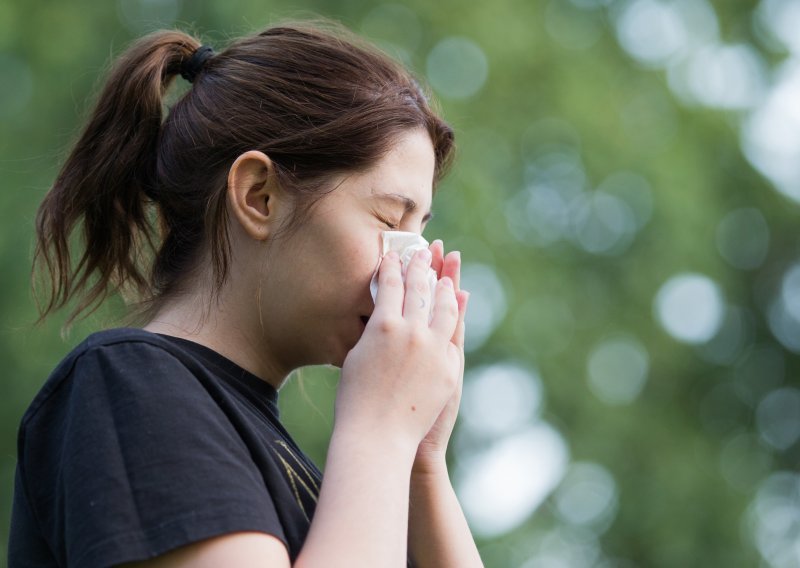 Počela sezona alergija; visoka koncentracija peludi čempresa u zraku