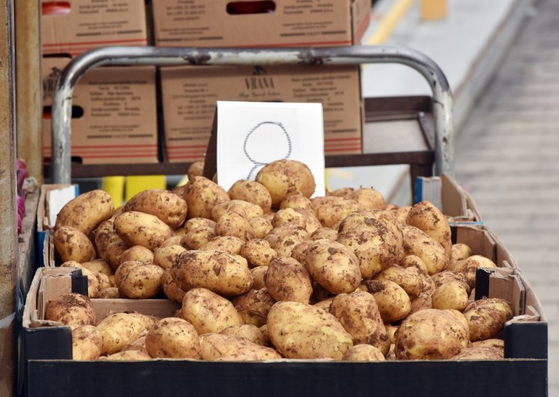 Intersnack Adria ove godine otkupljuje 19 tisuća tona krumpira