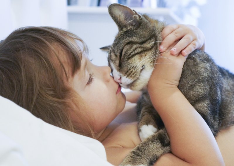 Kako mačke pokazuju ljubav?