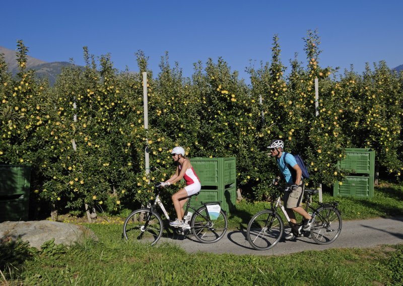 Njemački voćari se žale: Električni biciklisti nam masovno kradu voće!