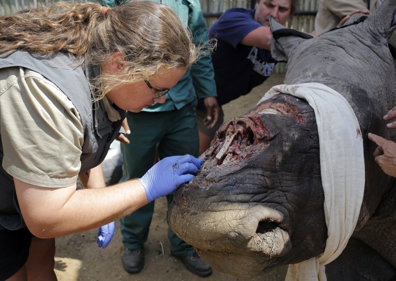 Drevna azijska medicina prijeti nosorozima