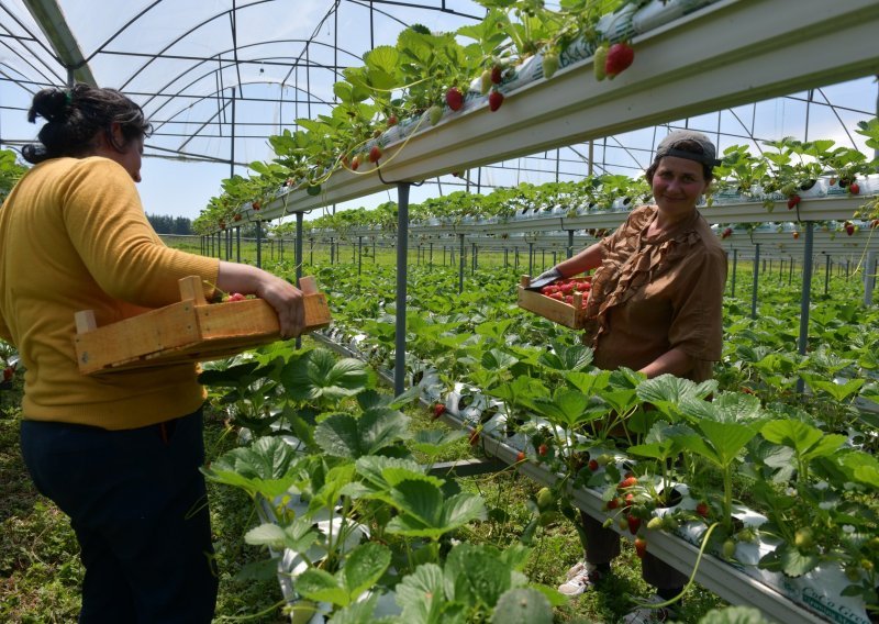 Mentori, edukacija i novčana pomoć: Program EIT Food EWA pruža podršku ženama poduzetnicama u poljoprivredno-prehrambenoj industriji