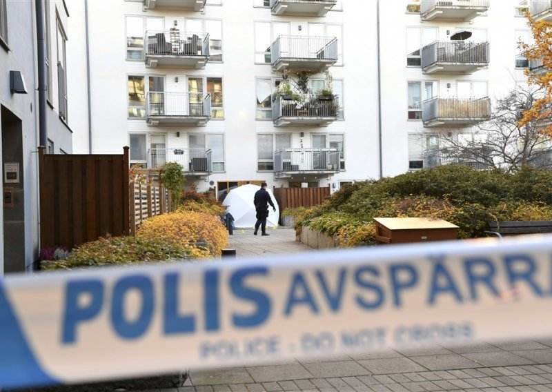 Dvojica švedske braće optužena za špijunažu za Rusiju