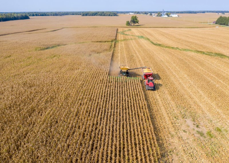 Američki poljoprivrednici u teškoćama zbog viška kukuruza
