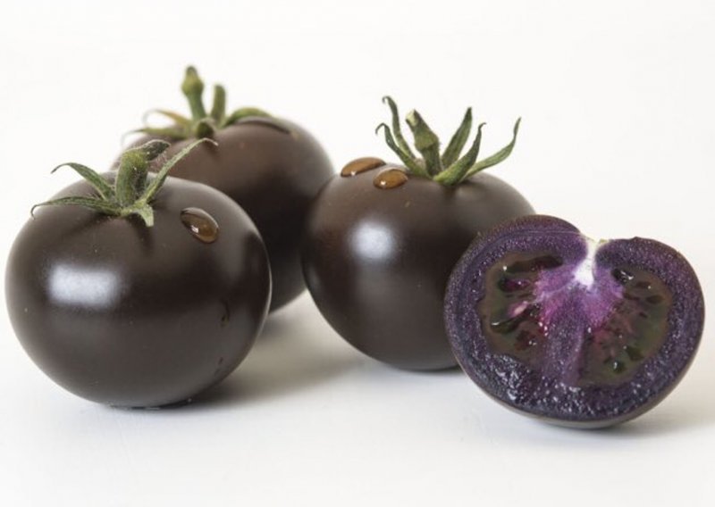 GMO rajčica boje patlidžana zdravija je od crvene 'rođakinje', hoće li je kupci prihvatiti?