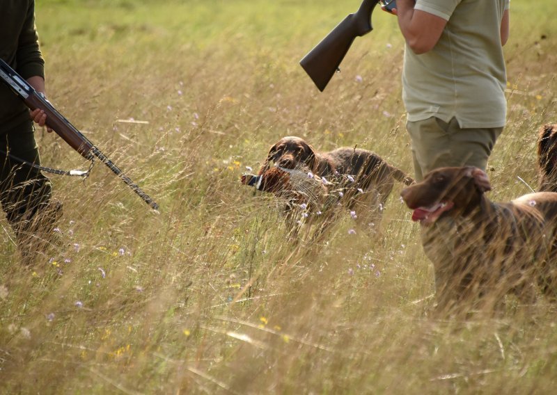 Hrvati najviše nabavljaju oružje za lov, ali stručnjaci otkrili u čemu je 'caka'