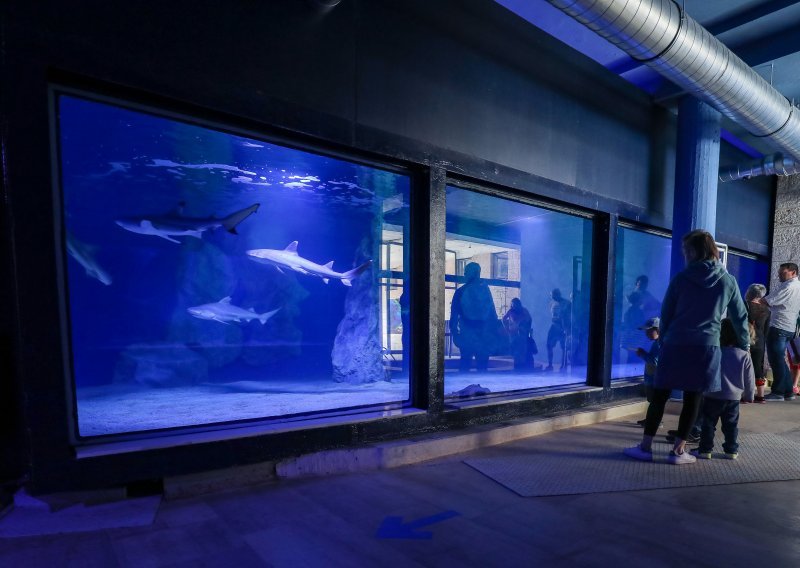 Obnovljen Pulski Aquarium
