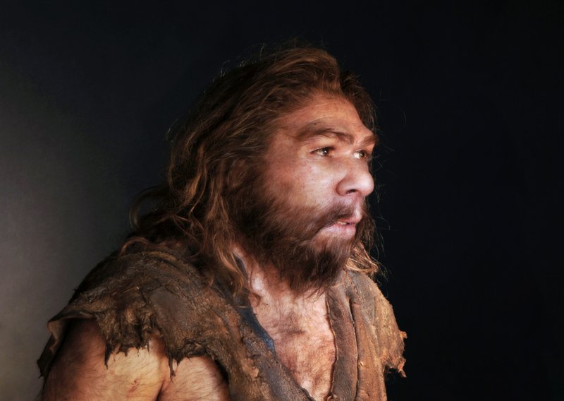 Pronađeni dokazi: Neandertalci su lovili špiljske lavove i koristili njihovu kožu