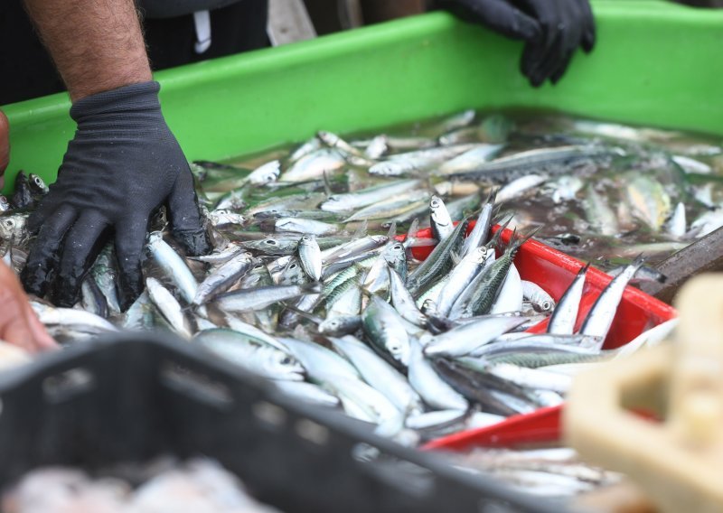 Eurozastupnici odobrili nova pravila EU-a za kontrolu ribarstva