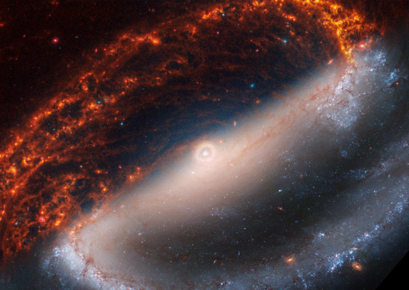 Očaravajući vrtlozi: James Webb je snimio detaljne fotografije 19 udaljenih galaksija