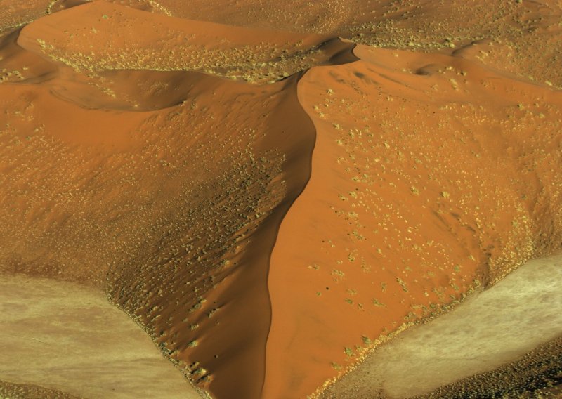 Kakve tajne kriju veličanstvene pustinjske zvjezdane dine? Evo što kažu znanstvenici