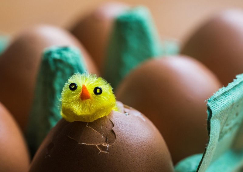 Mukama je došao kraj: Evo kako skuhati jaja bez pucanja