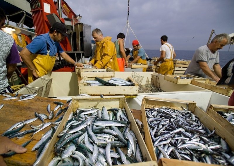Zamjena crvenog mesa sardinama spašava živote