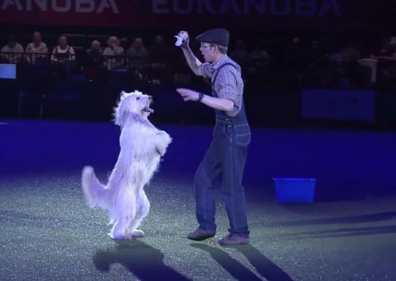 Jeste li znali da i psi imaju svoje plesno natjecanje?