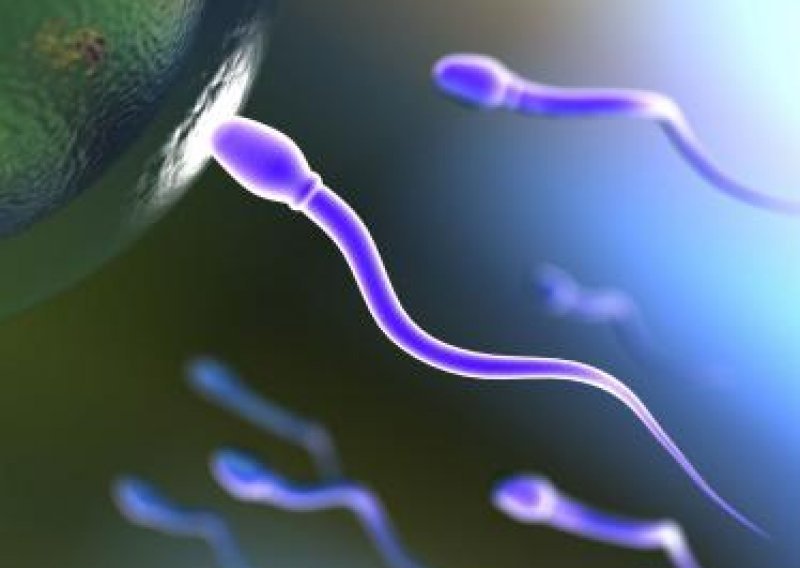 Nizozemac rekorder u doniranju sperme