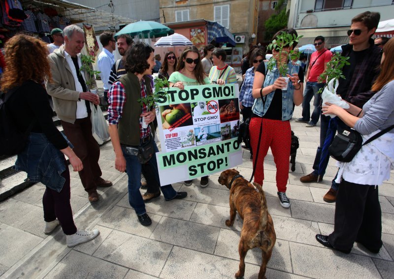 Pušta li Hrvatska GMO na svoj teritorij? SDP i HDZ kažu da ne