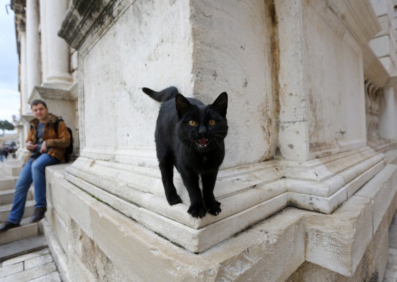 Pljunete li kad vidite crnu mačku? Evo što o praznovjerjima kažu etnologinja Lidija Bajuk i psihologinja Mirjana Krizmanić