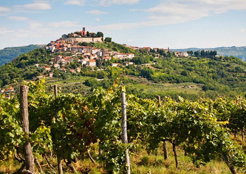 Koliko poznajete hrvatska vina?