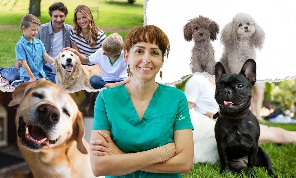 Dr. med. vet. Ivana Ćosevska: 'Idealan obiteljski pas trebao bi biti tolerantan i strpljiv'