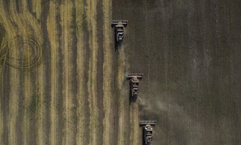 Žetva žita u Rusiji