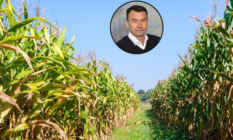 Zoran Petrović, Monsanto
