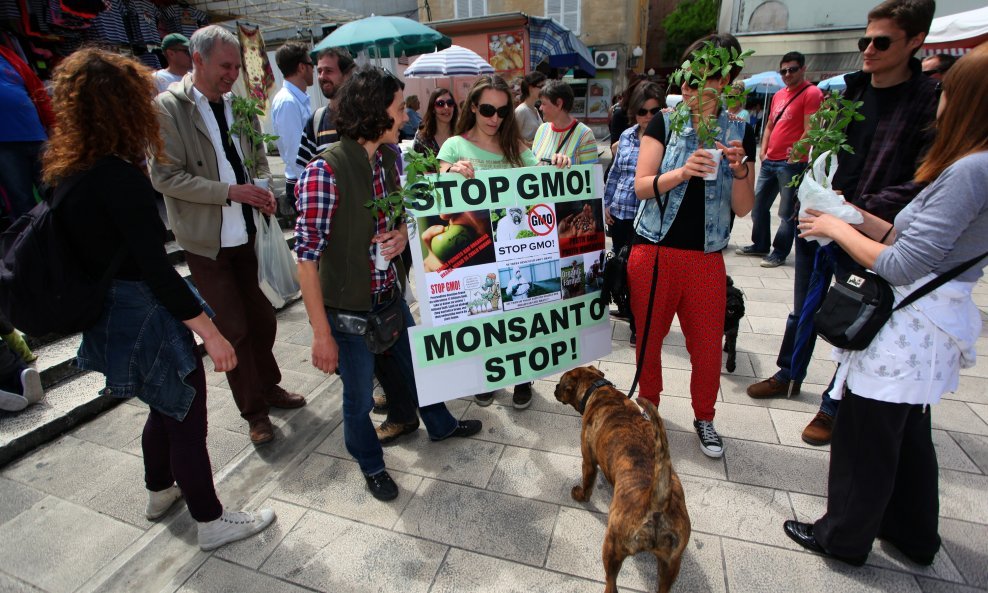 Prosvjed protiv GMO-a u Zadru